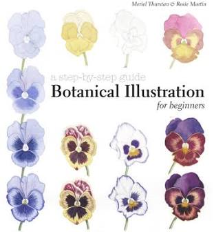 Botanical-Illustration-for-Beginners